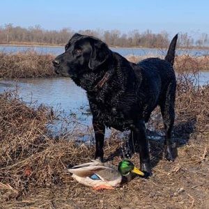 Meet your Posher, Sabrina